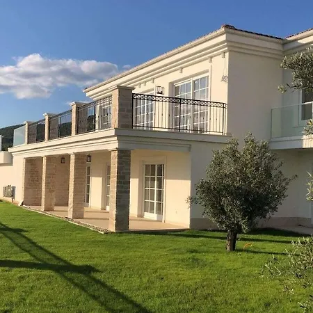 In With Swimming Pool Villa